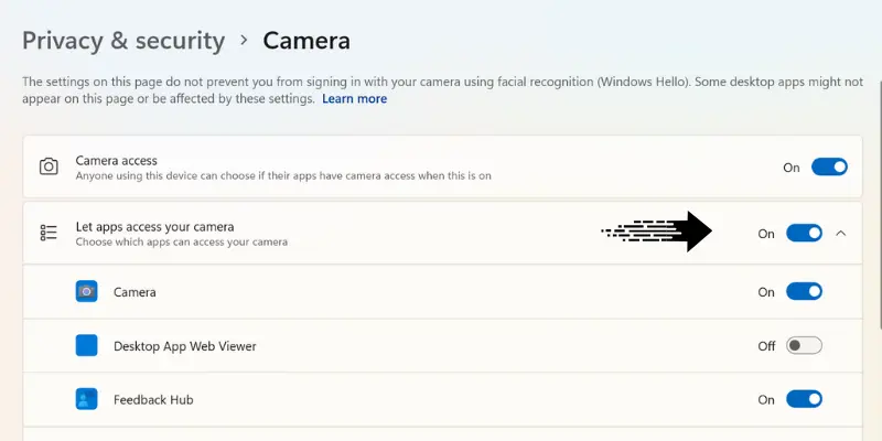 Privacy Settings For Camera Access On Windows, Enabling Apps To Access Camera