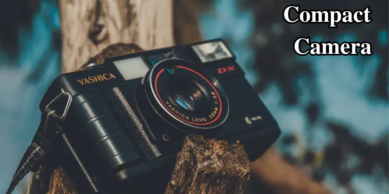Vintage Yashica Compact Camera Resting On A Tree Branch, Showcasing Retro Design And Portable Features.